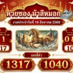 แนวทางหวยซองม้าสีหมอก 16 ส.ค. 69 ส่องเลขเด่น บน-ล่าง